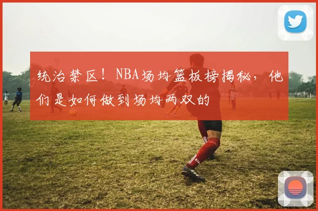 统治禁区！NBA场均篮板榜揭秘，他们是如何做到场均两双的